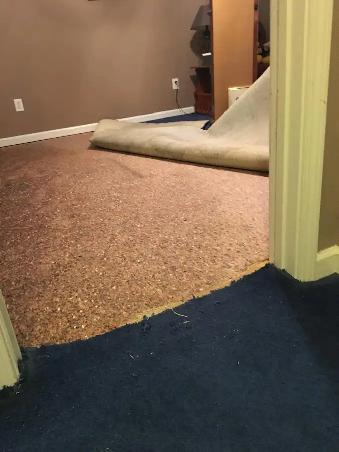 Carpet pad removal revealing water damage during Drying & Dehumidification in Floral Park