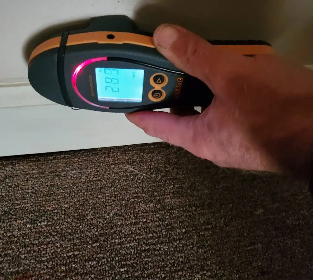 Moisture detection at baseboard during Sewage Cleanup & Sanitation in Floral Park