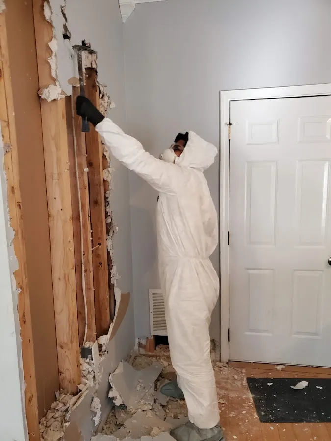 Mold Remediation & Removal in Floral Park, NY